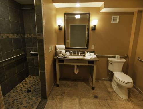 B&B bathroom remodel in Dryden NY